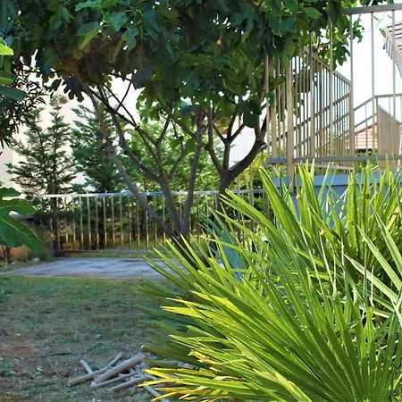 Adris - Private Parking Zára